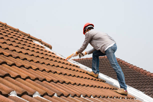 Best Roof Ventilation Installation  in Belle Plaine, MN